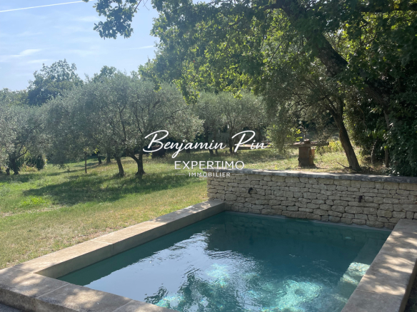 Stone swimming pool surrounded by trees in a house in Villars