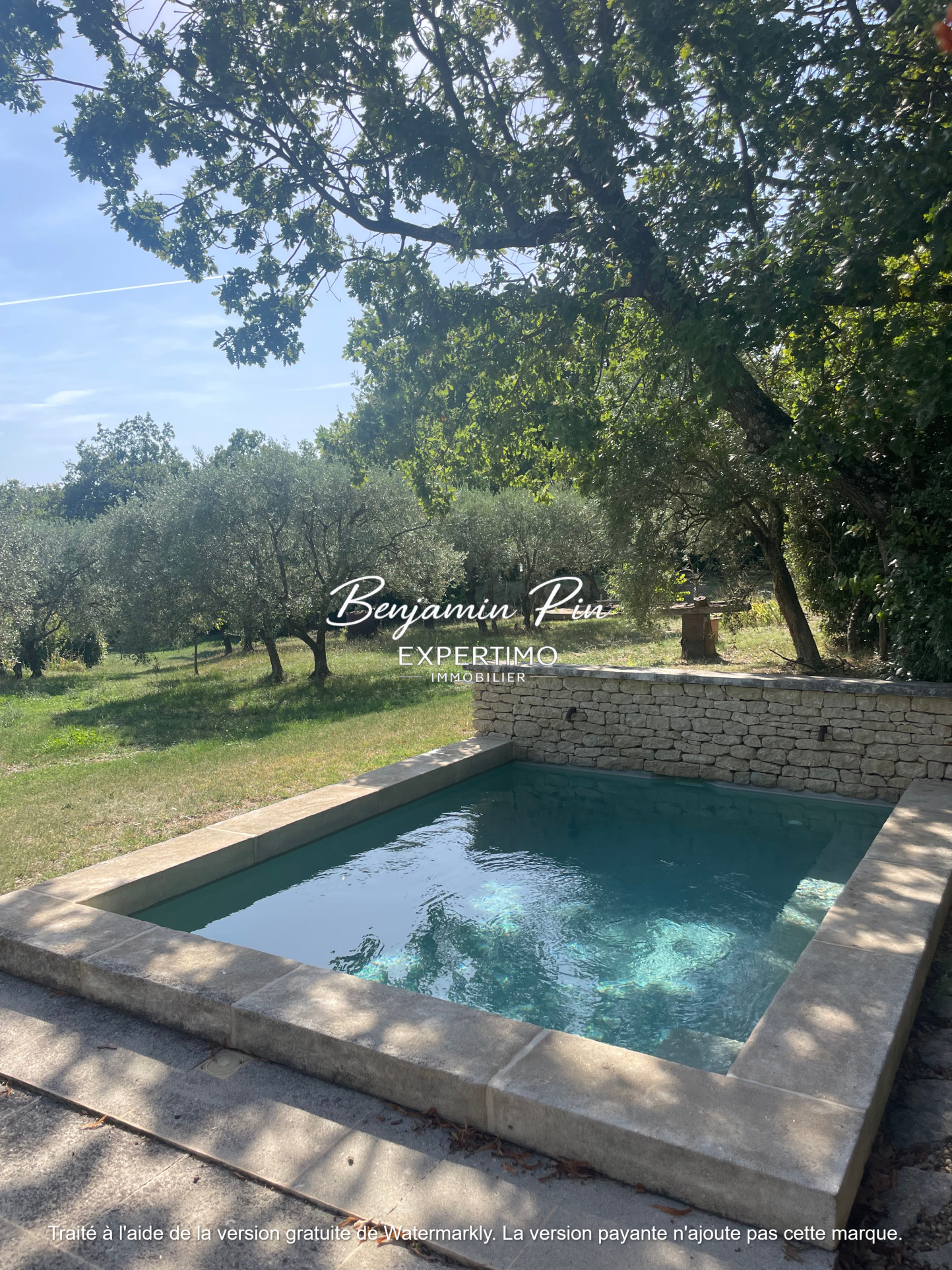 Swimming pool at home in Villars Stone swimming pool surrounded by trees in a house in Villars