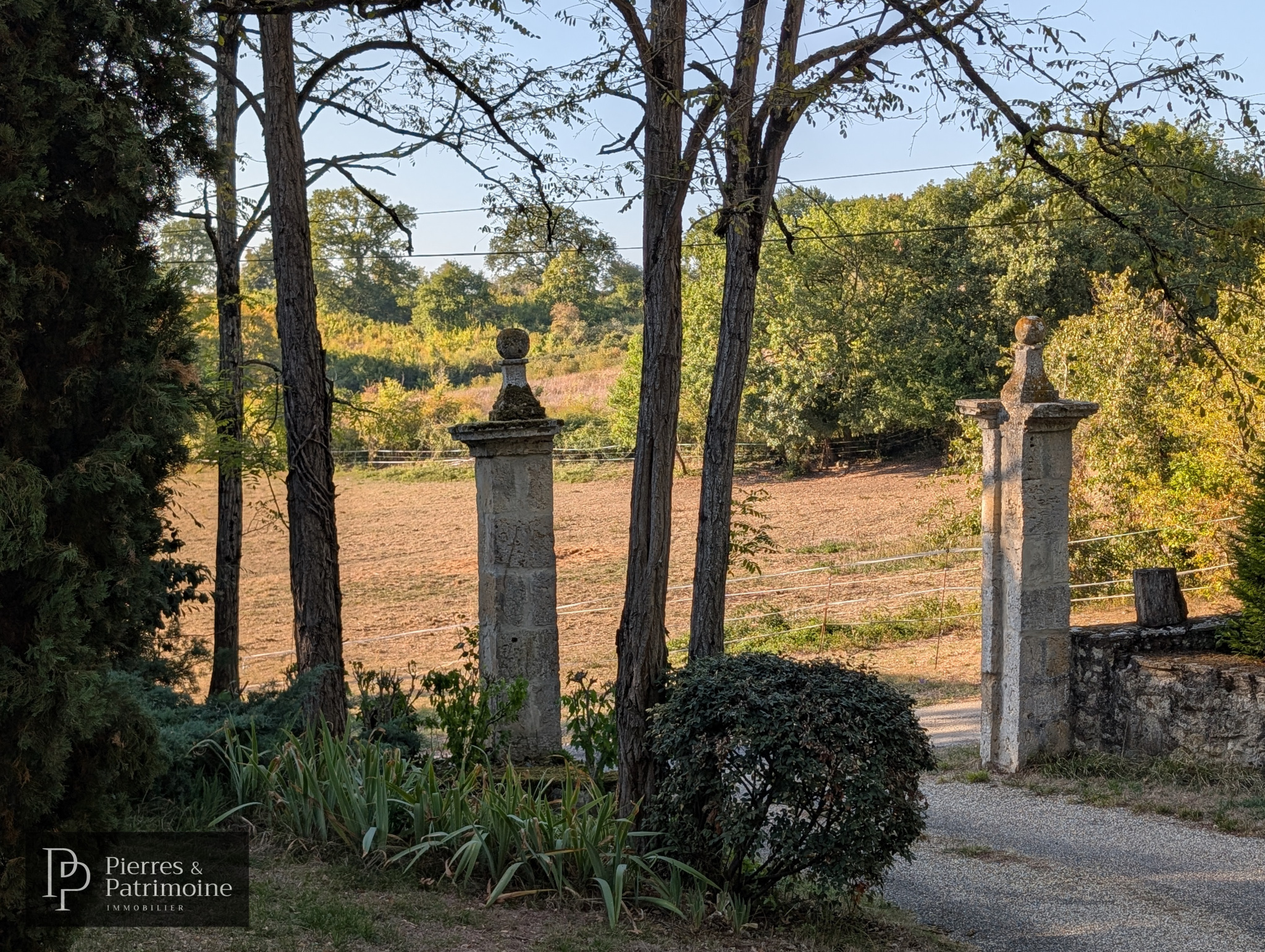 Entrée de propriété à Nérac Entrée d'une propriété avec des piliers en pierre et un chemin menant à un parc arboré.