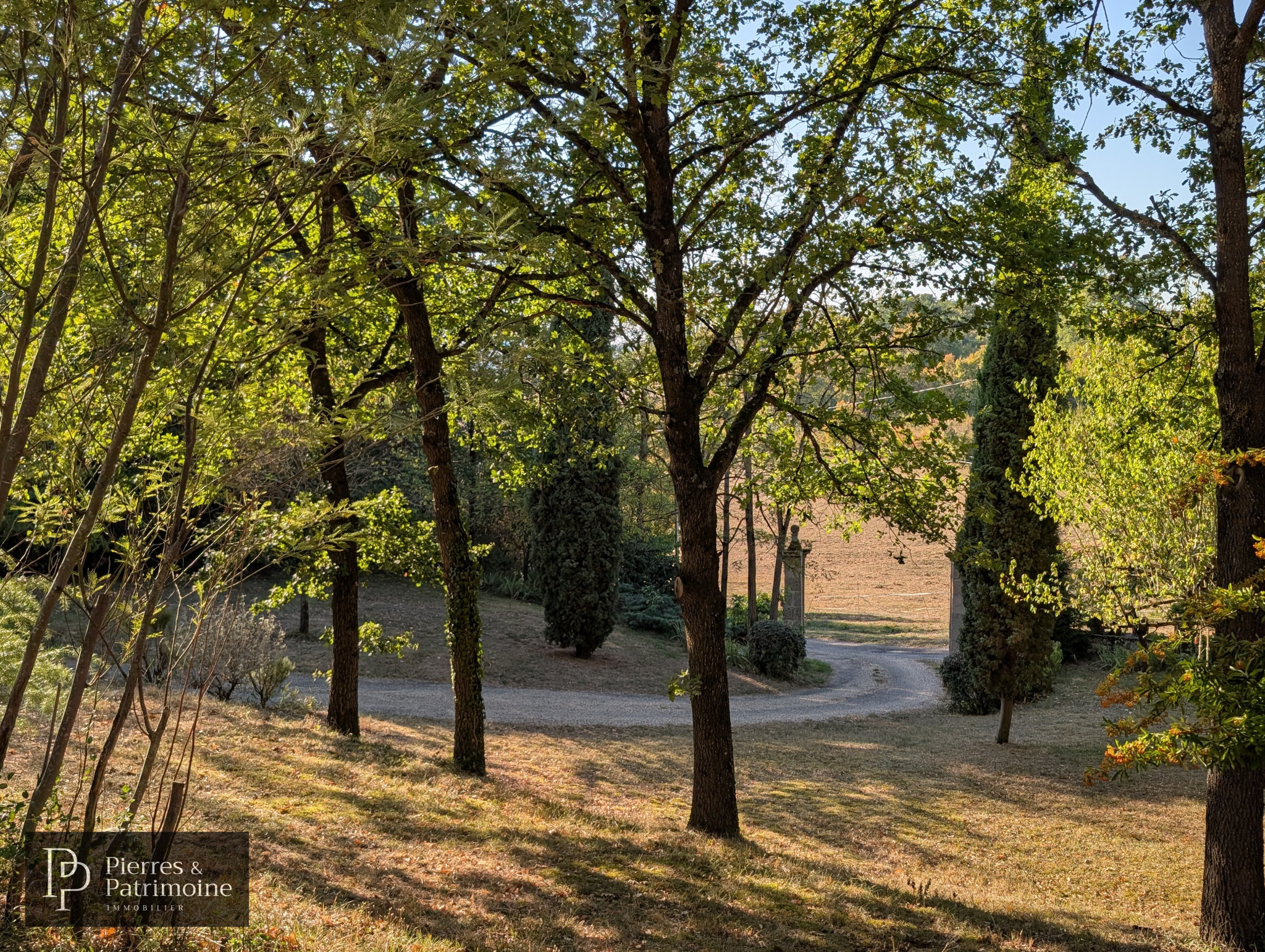 Parc arboré à Nérac Vue dégagée sur un parc arboré avec chemin à Nérac, entouré d'arbres