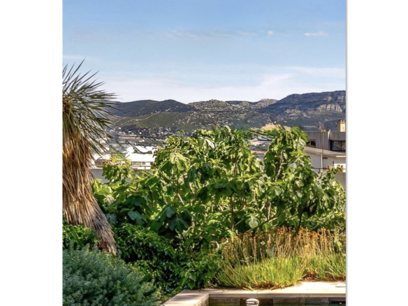 View of pool and garden with mountains in the background in Marseille.