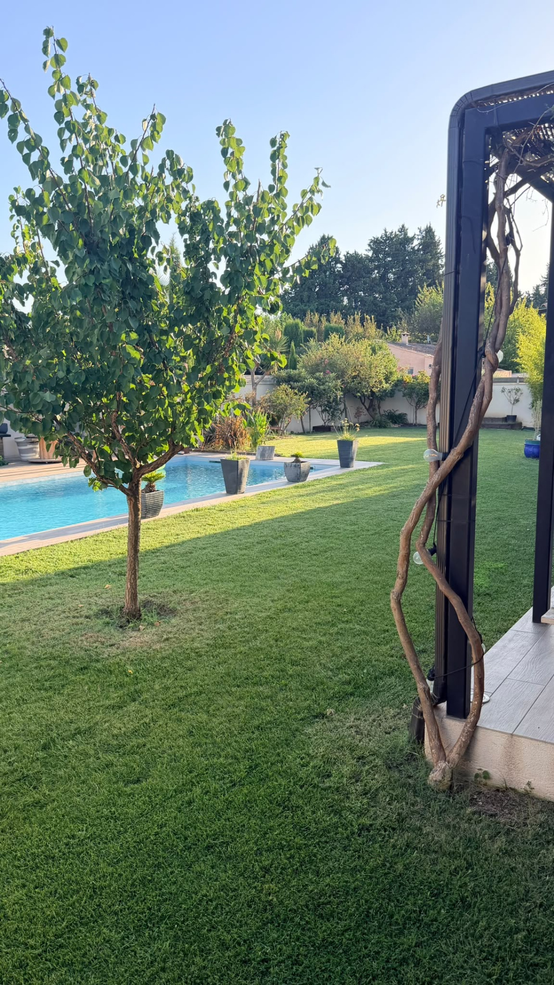 Modern villa garden in L'Isle-sur-la-Sorgue Garden of a modern villa with swimming pool and trees, L'Isle-sur-la-Sorgue