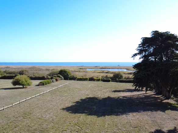 Vue d'un terrain spacieux avec des arbres et l'océan en arrière-plan à Sarzeau.