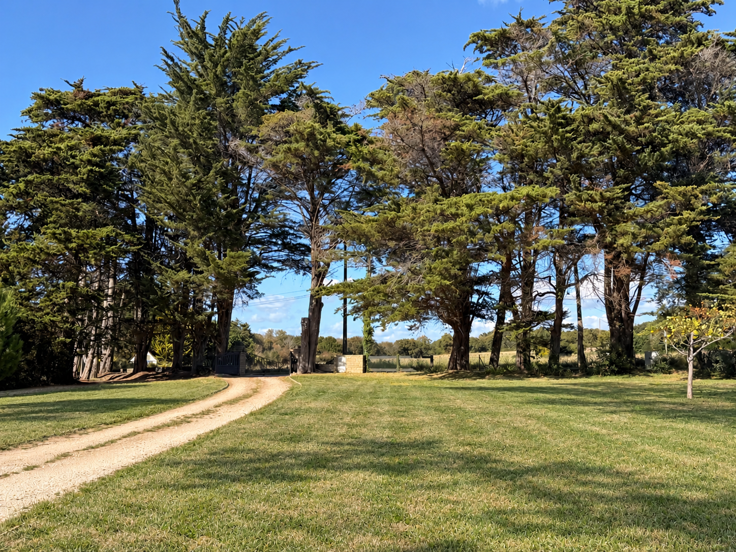 Propriété à Sarzeau Allée menant à une propriété avec des arbres et un terrain dégagé à Sarzeau.