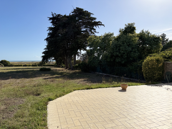 Vue dégagée sur un terrain herbeux avec des arbres, près de la mer à Sarzeau.