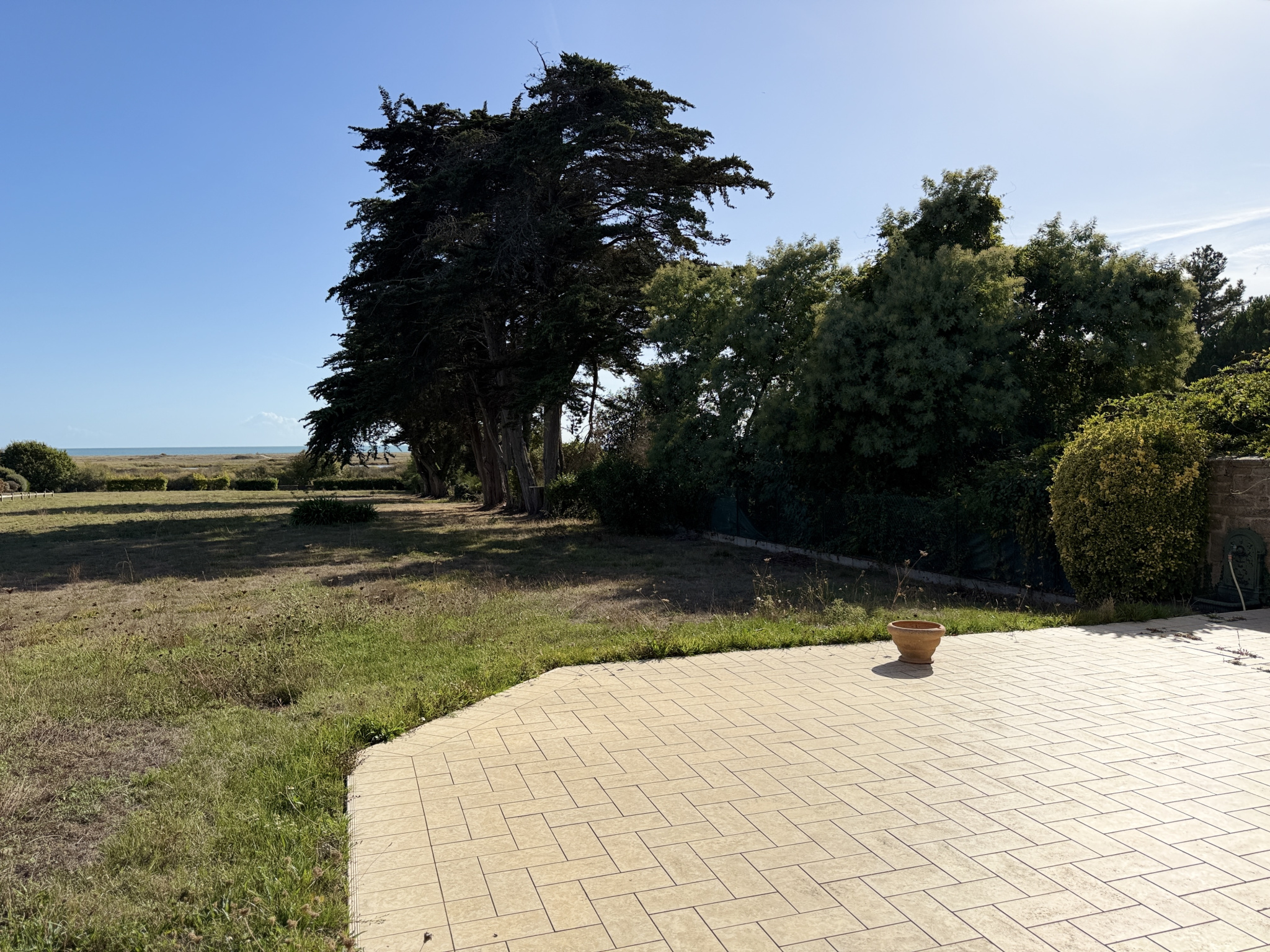 Propriété avec vue mer à Sarzeau Vue dégagée sur un terrain herbeux avec des arbres, près de la mer à Sarzeau.