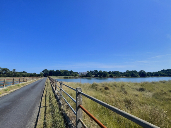 Vue d'un chemin longeant un plan d'eau avec des herbes, près d'une propriété historique à Pont-l'Abbé.