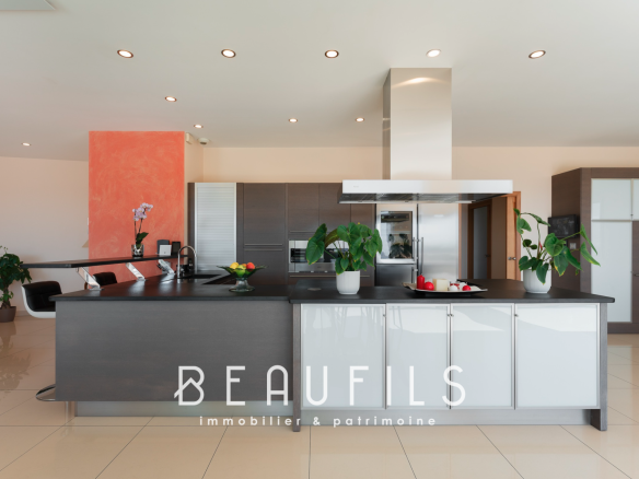 Cuisine moderne d'une villa spacieuse avec un îlot central et des équipements contemporains.