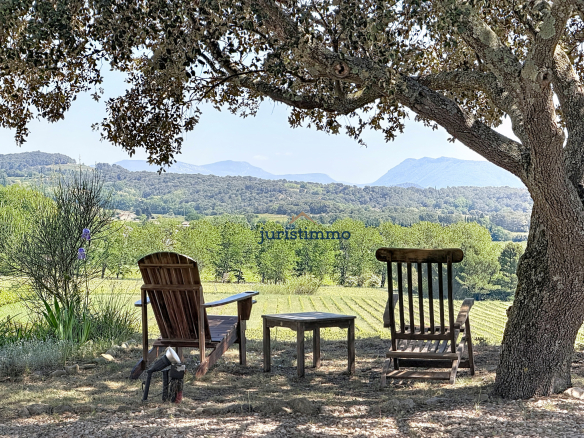 Chaises en bois sous un arbre avec vue sur des collines et le Mont Ventoux.