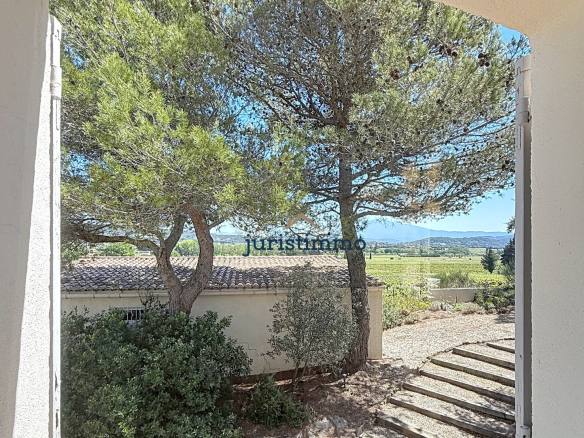 Vue depuis une fenêtre sur des arbres et un chemin menant à une propriété.