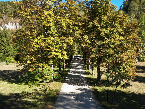 Tree-lined avenue in a park on the banks of the Ain river in Neuville-sur-Ain.