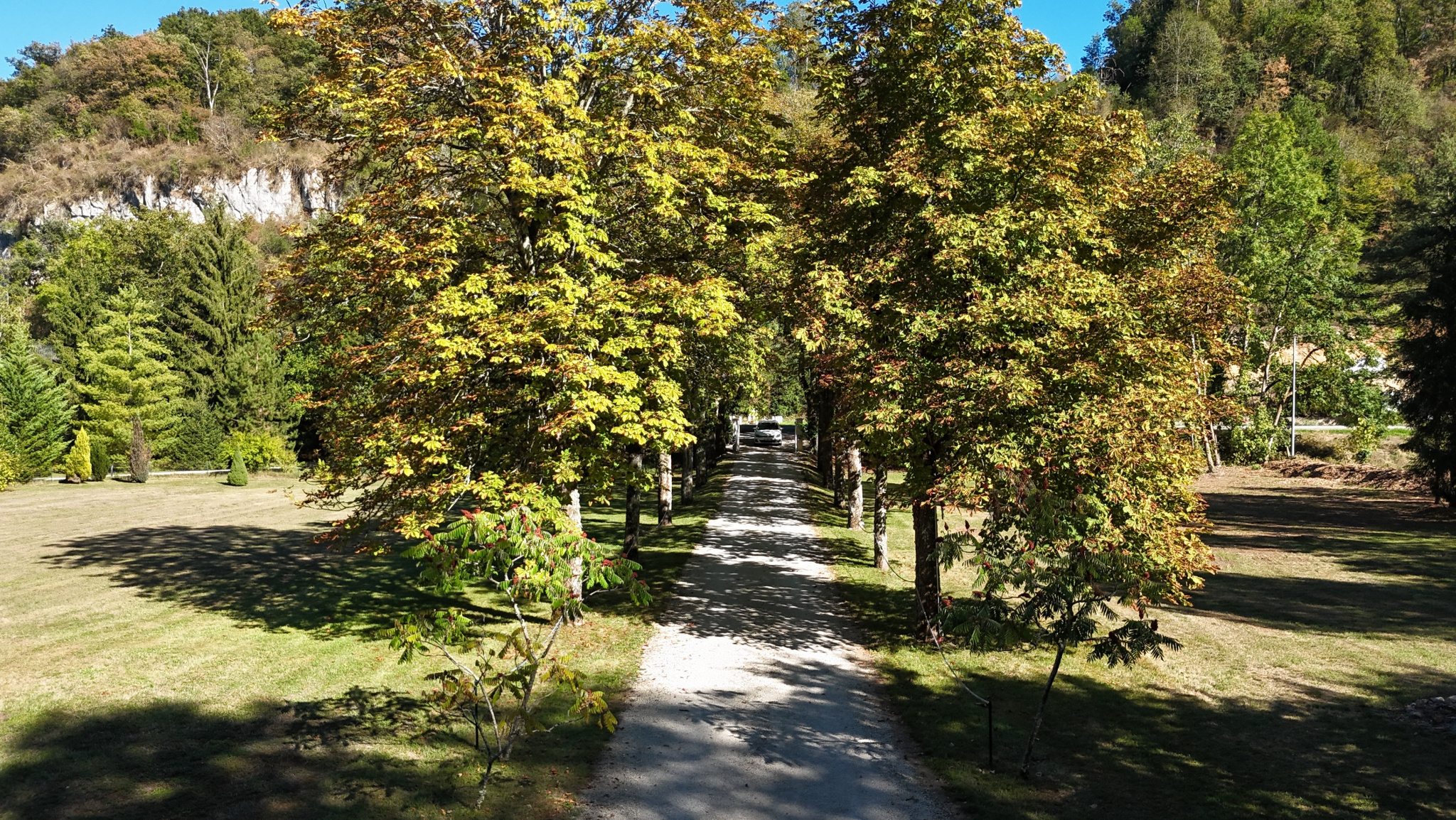 Path in a park on the banks of the Ain river Tree-lined avenue in a park on the banks of the Ain river in Neuville-sur-Ain.