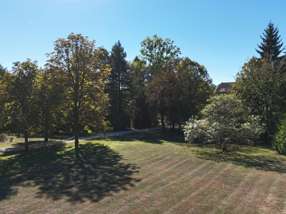 View of a wooded park with trees and a well-maintained lawn.