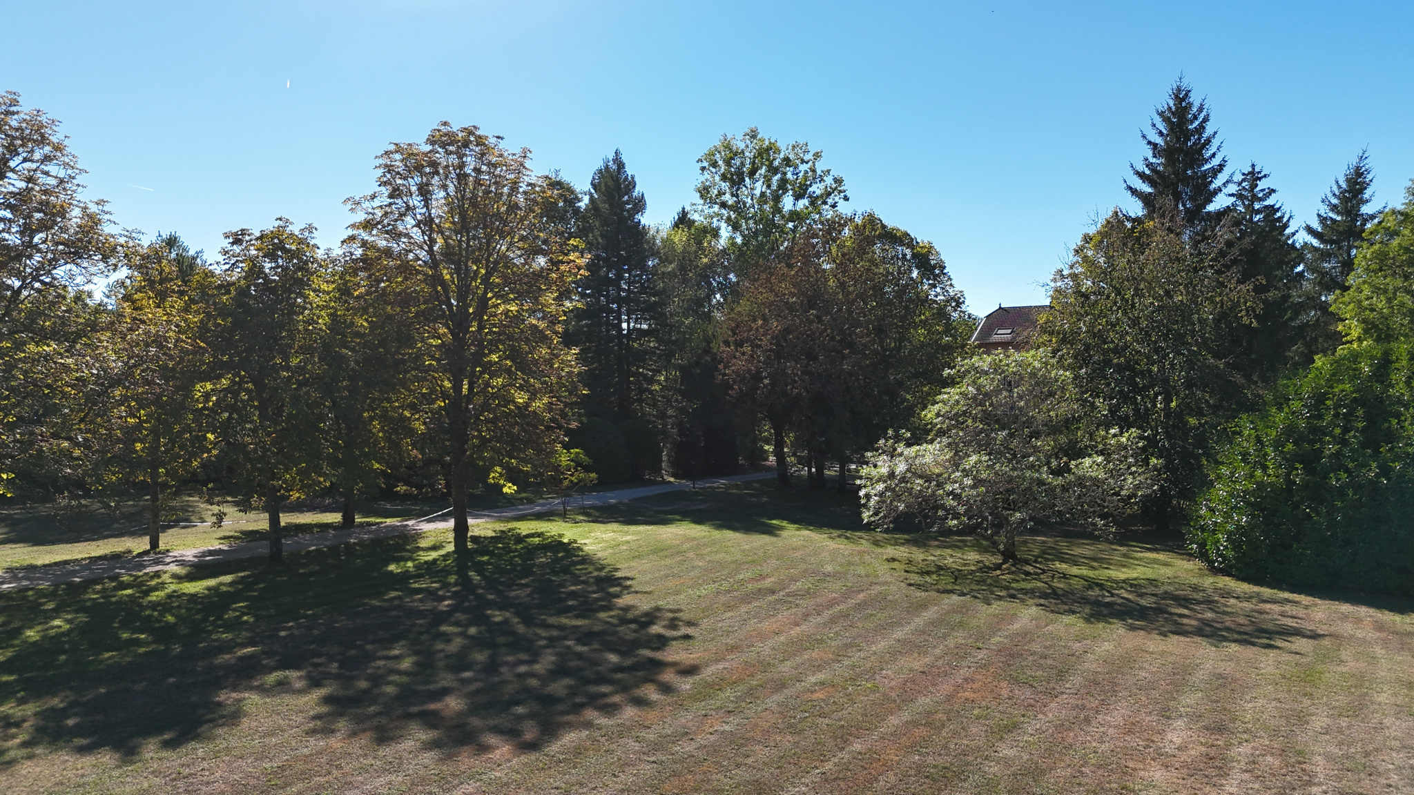 Park on the banks of the Ain river View of a wooded park with trees and a well-maintained lawn.