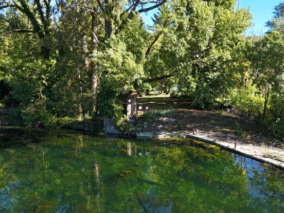 View of a property on the banks of the Ain river, surrounded by trees and greenery.