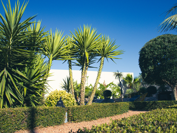 Garden of a contemporary villa with swimming pool in Narbonne, well-maintained plants and hedges.