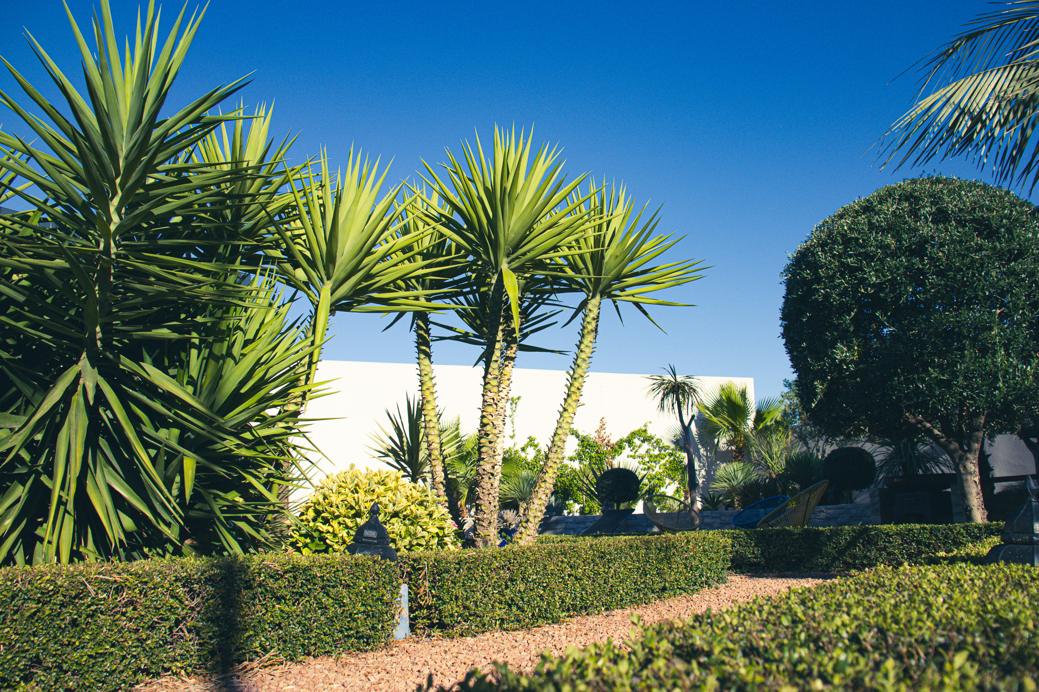 Garden of a villa in Narbonne Garden of a contemporary villa with swimming pool in Narbonne, well-maintained plants and hedges.