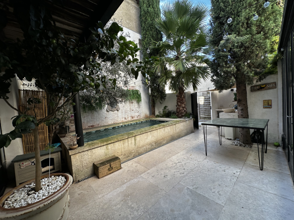 Intérieur d'une maison de village avec une piscine et des plantes, à Maillane.