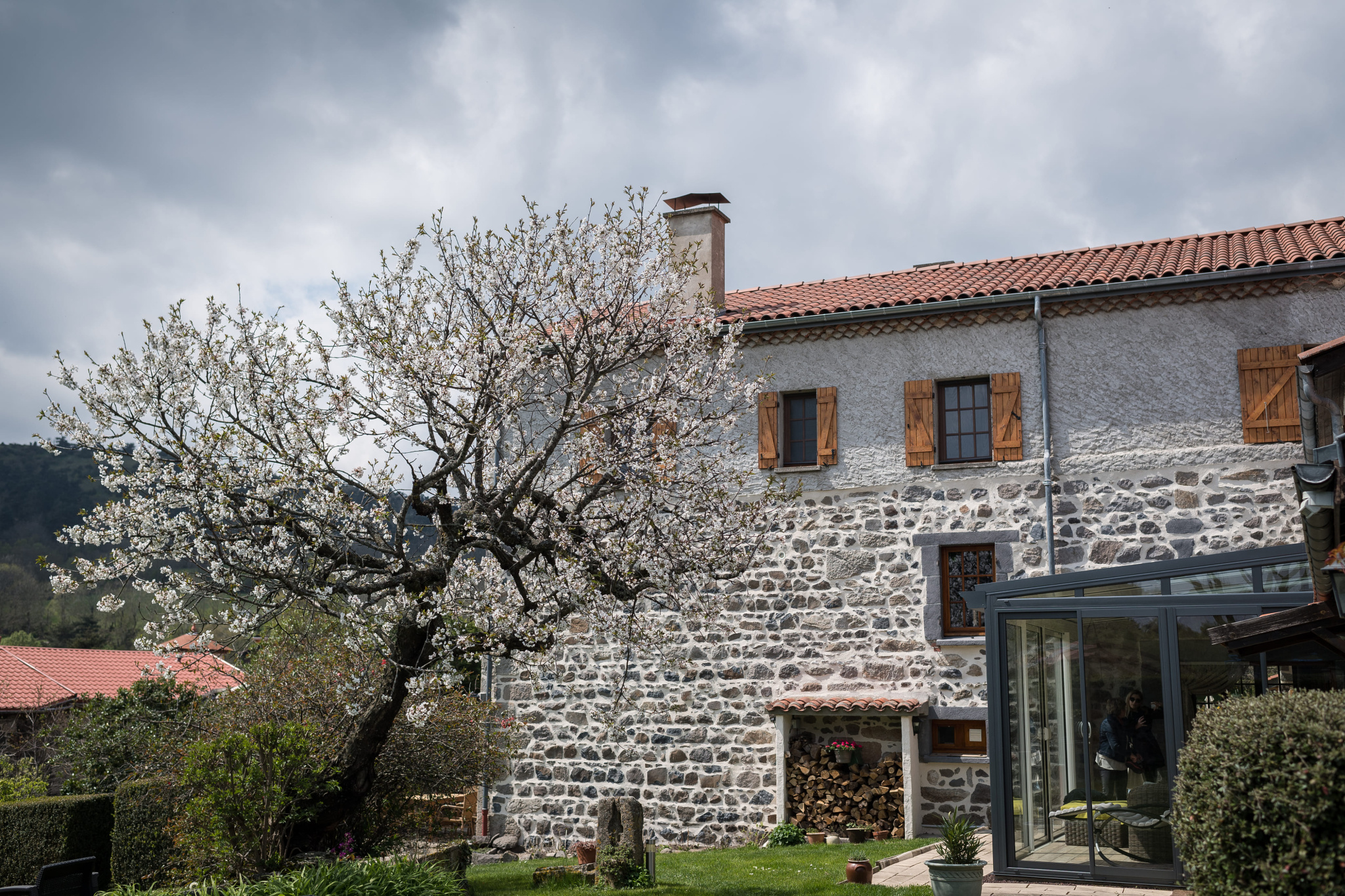Old renovated farmhouse with a flowering tree in Olloix, Auvergne Volcanoes Regional Natural Park.