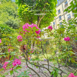 Maison 9 pièces 4 niveaux jardin terrasse garage