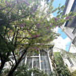 RARE ! An artist&#39;s studio steeped in history transformed into 