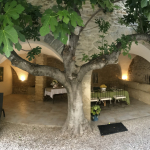 Provence, Gordes Les Imberts, magnifique propriété en pierre