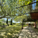 Mas of character on a beautiful wooded plot of 10,000m2