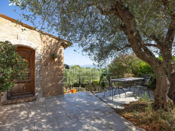Entrance to a stone house with a terrace and an olive tree, unobstructed view of the hills.