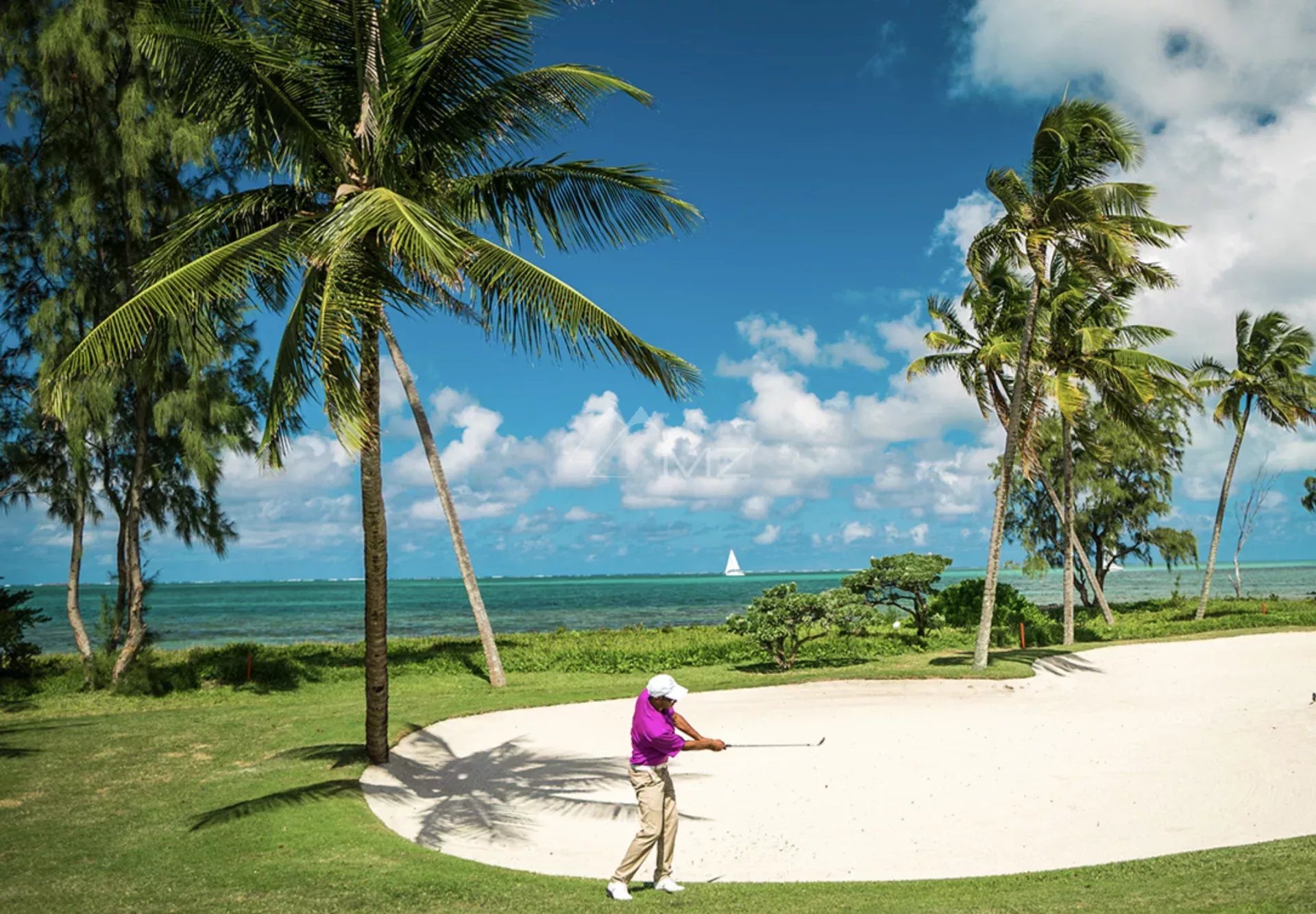 939fbd4a9f8b5ae6a08c5d41d431cb0d_bd49ebaa53_1920-original