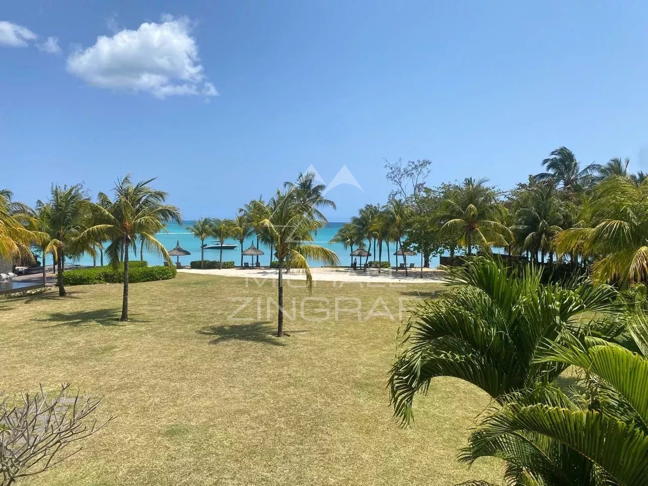 5cc9fcc9f60b1590e55163eaf8030e6b_63e0828123_1280-original