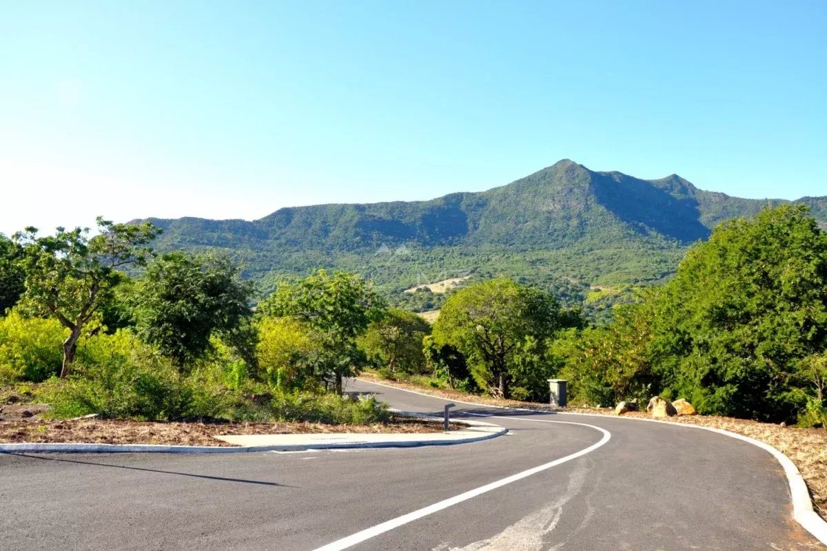 a9651d8051105b49fda373317aee9b7f_58ed8bed06_1200-original