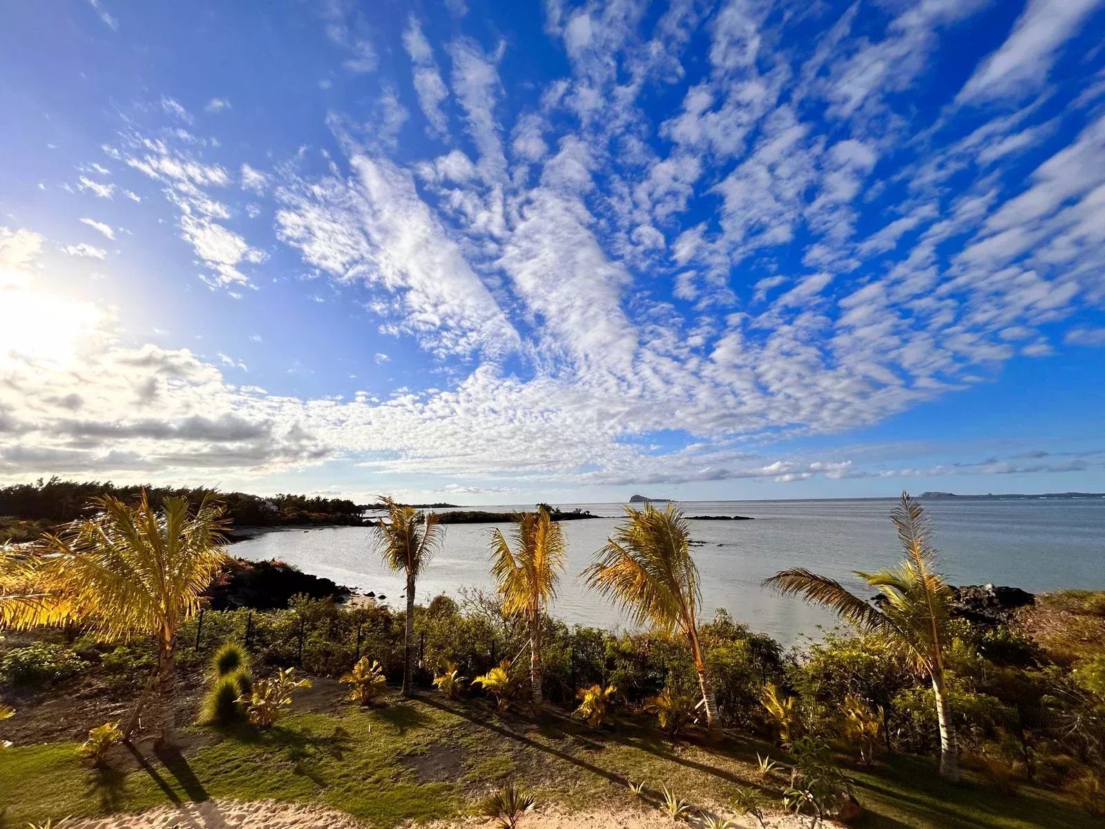 59cd9a7d7988f882bd62ea1407122bdb_a3d1aa1341_1600-original