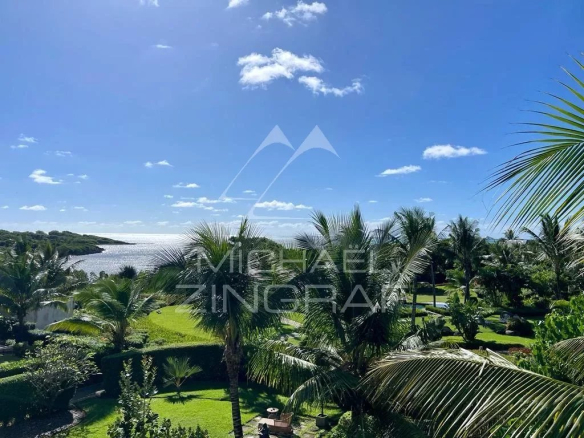 Sunny coastal garden with palm trees, a manicured lawn, and a calm sea in the distance under a bright blue sky.