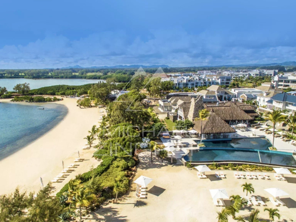 A tropical beachfront resort with a sandy shore, turquoise water, palm trees, and white sun loungers.