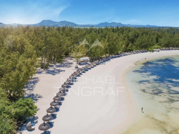 Aerial view of a crescent white-sand beach lined with thatched umbrellas and a forest backdrop, turquoise water at the shore.