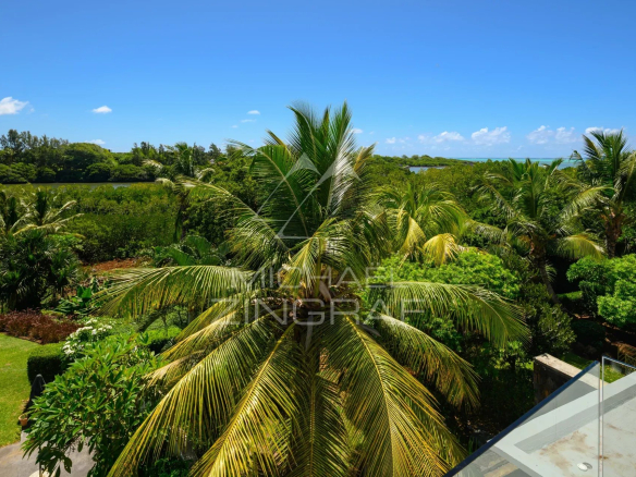Tropical garden with tall palm trees, dense green foliage, and a bright blue sky; distant water visible on the horizon, with a glass railing in the lower right corner.