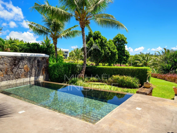 Sunny tropical backyard with a rectangular pool, stone wall, and lush palm trees under a bright blue sky.