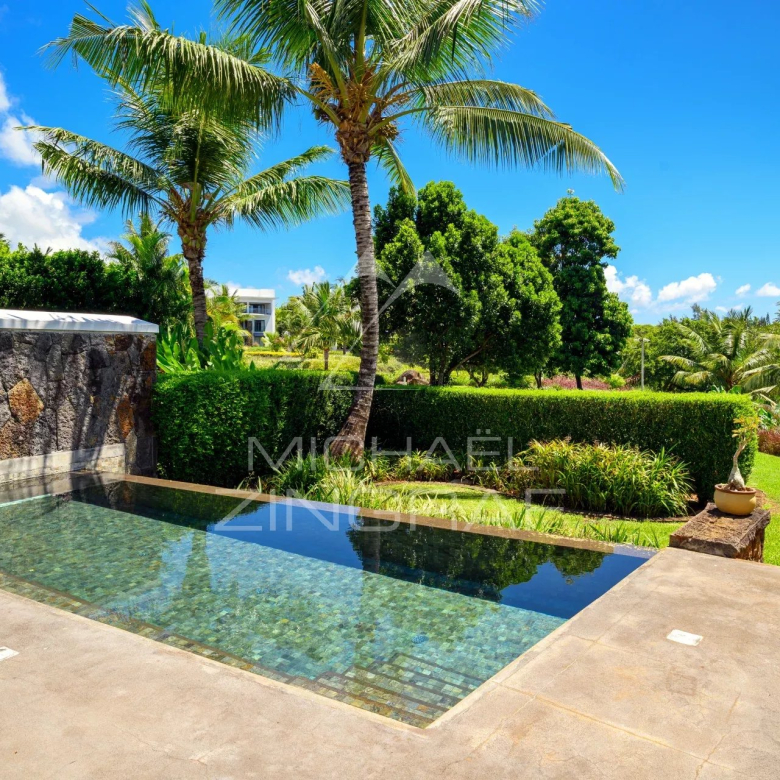 Sunny tropical backyard with a rectangular pool, stone wall, and lush palm trees under a bright blue sky.