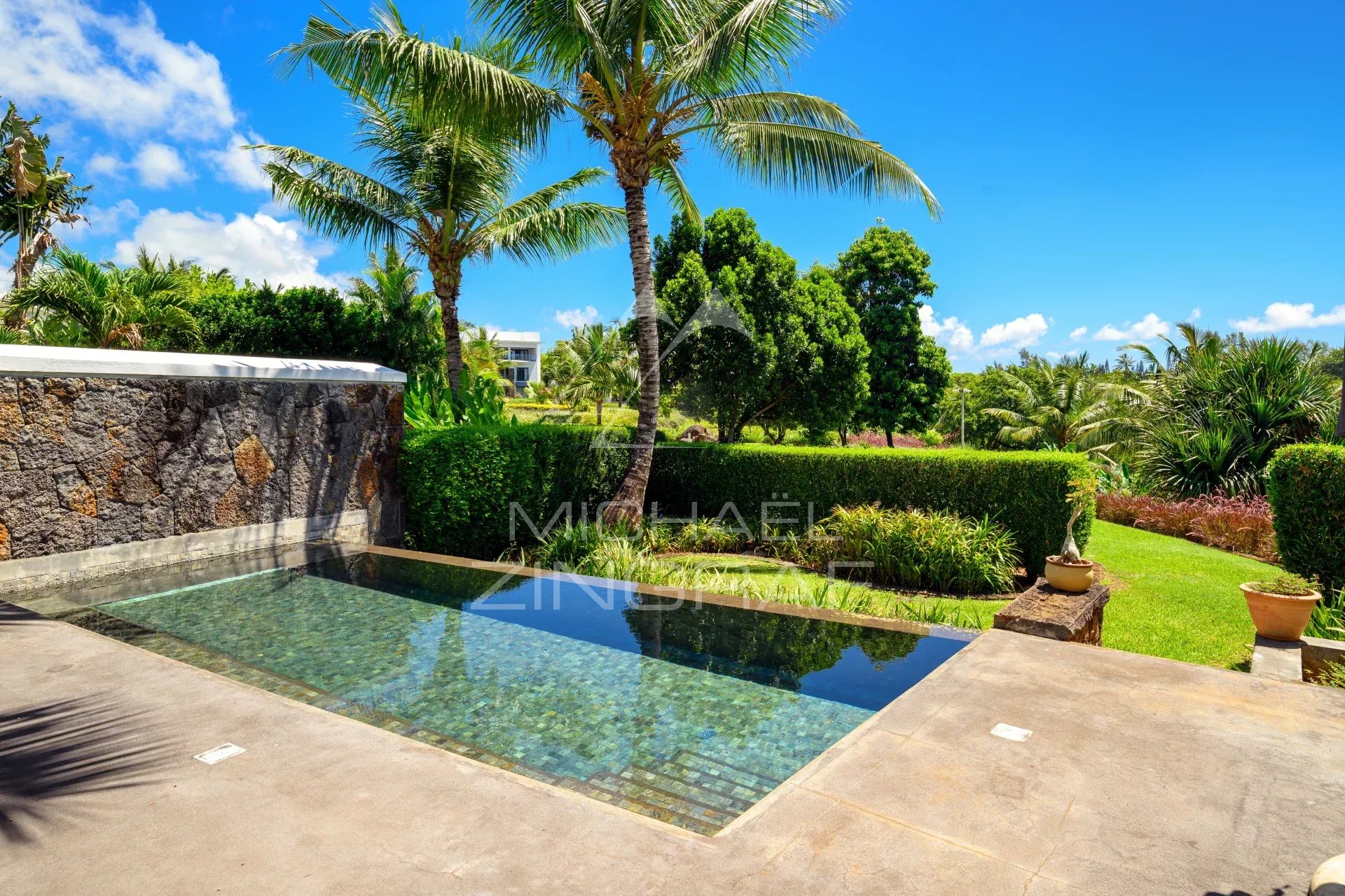 Sunny tropical backyard with a rectangular pool, stone wall, and lush palm trees under a bright blue sky.
