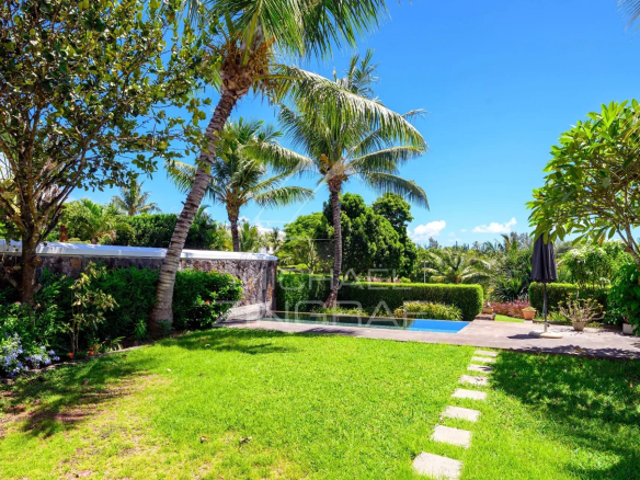 Sunny tropical backyard with palm trees, a green lawn, and a small rectangular pool beyond a hedge-lined patio.