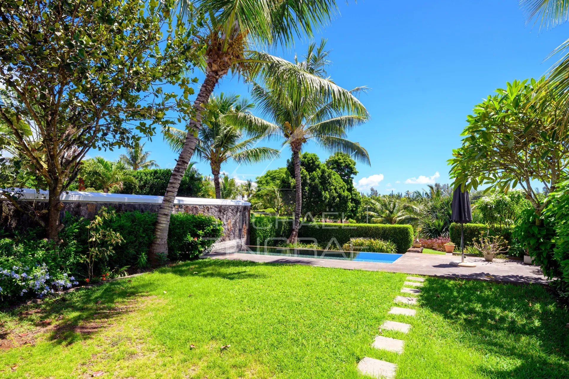 Sunny tropical backyard with palm trees, a green lawn, and a small rectangular pool beyond a hedge-lined patio.
