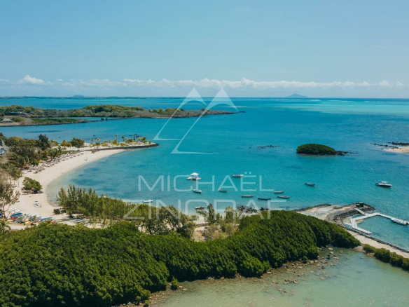 Aerial view of a tropical coastline with a curved white-sand beach, palm trees, and turquoise water with several boats.