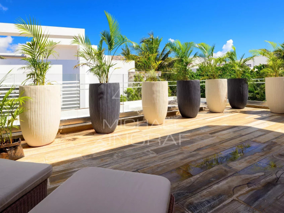 Row of tall ribbed planters with palm plants along a glass railing on a sunny rooftop terrace