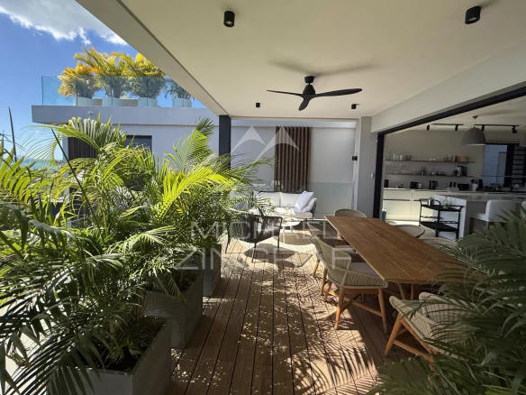 Penthouse terrace with wooden furniture and plants, overlooking the modern interior.