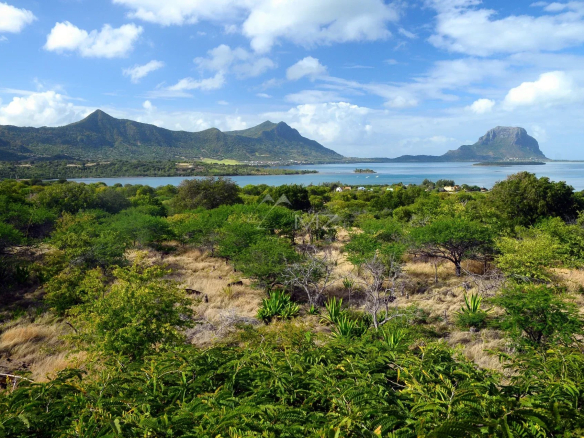 Vue panoramique sur la nature et les montagnes à Rivière Noire, Île Maurice.