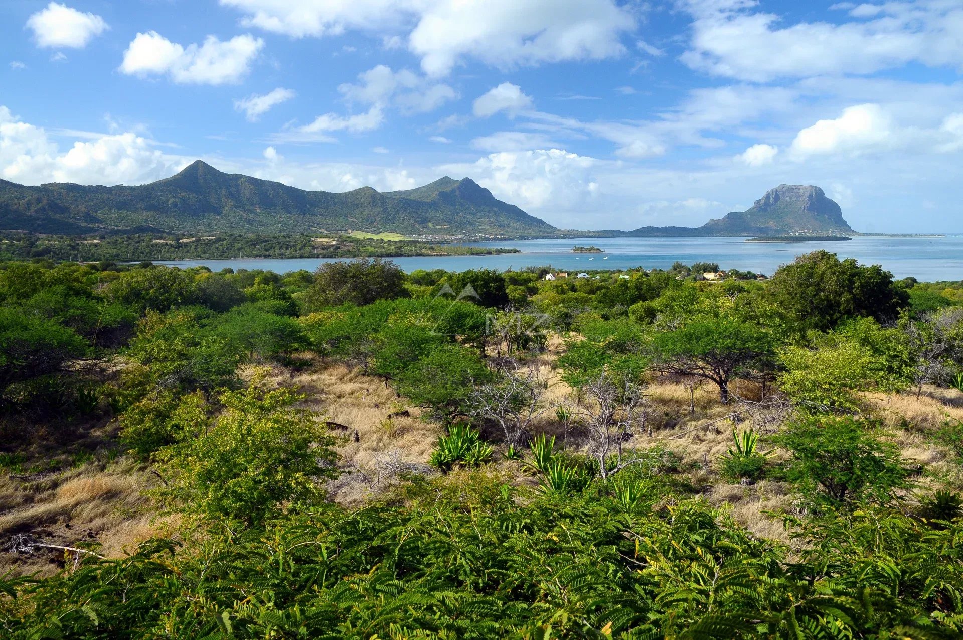Vue panoramique sur la nature et les montagnes à Rivière Noire, Île Maurice.