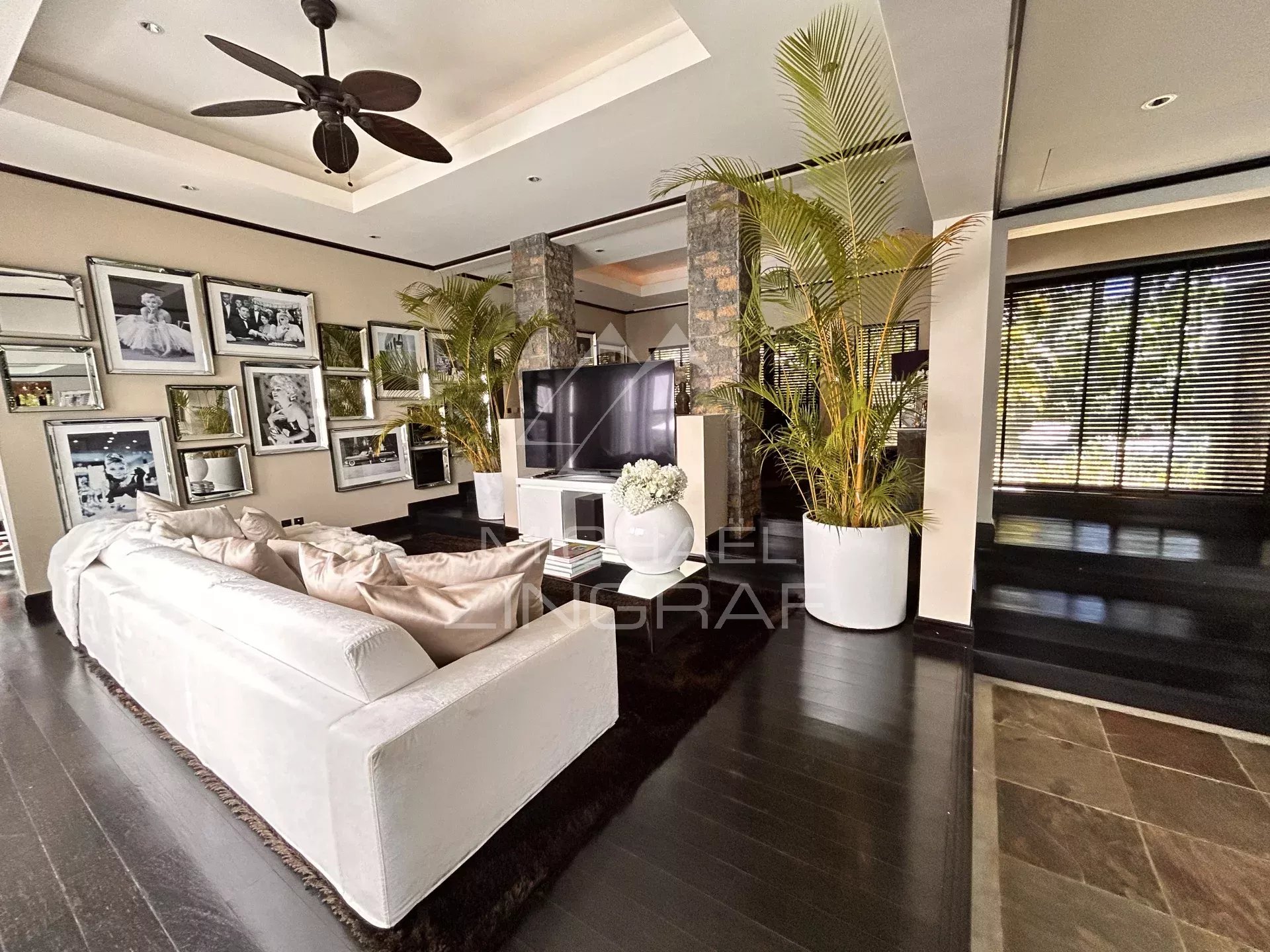 Interior of a villa with a modern living room, decorative plants and natural lighting.