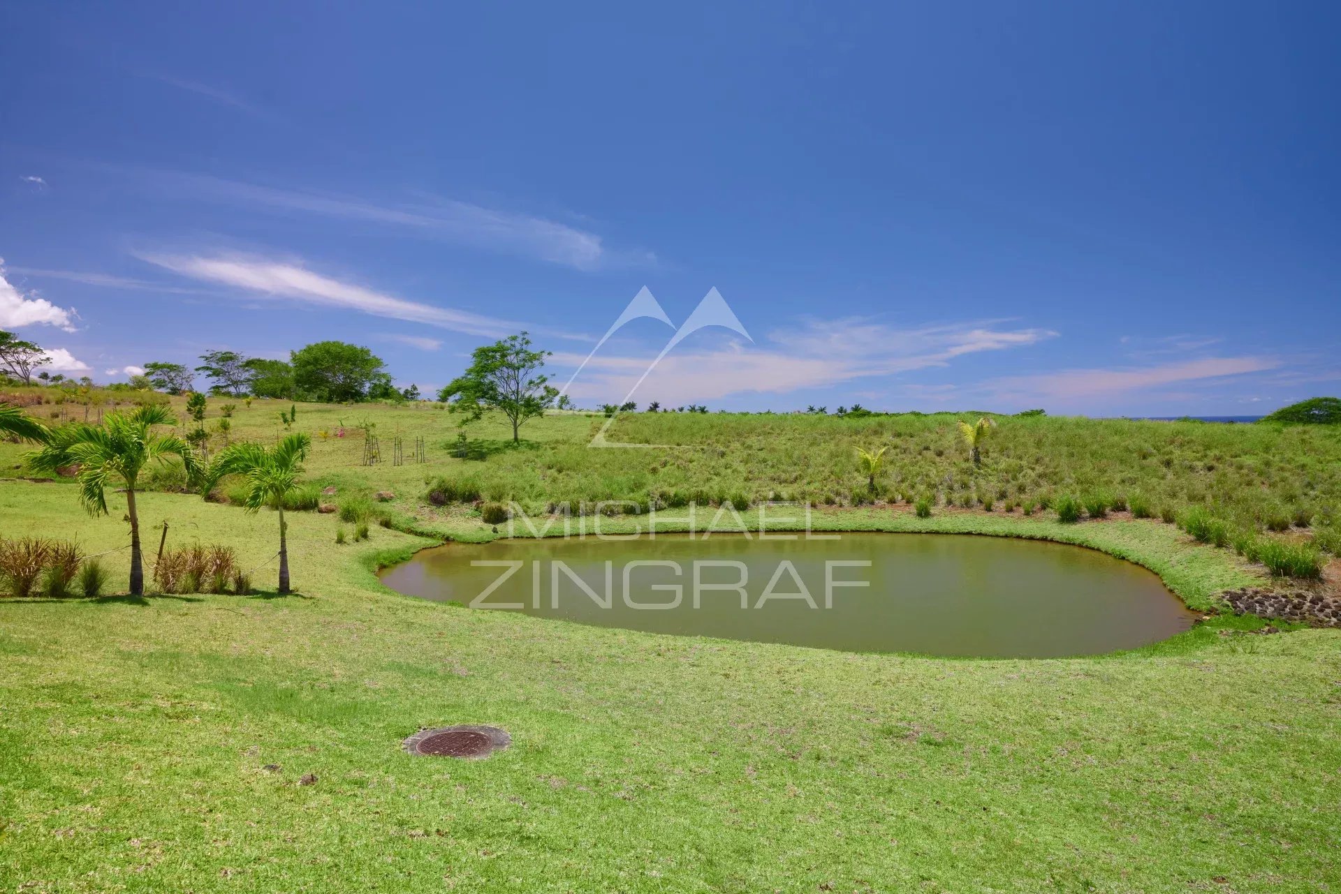 View of a pool surrounded by greenery in a quiet estate in Bel Ombre, Mauritius.