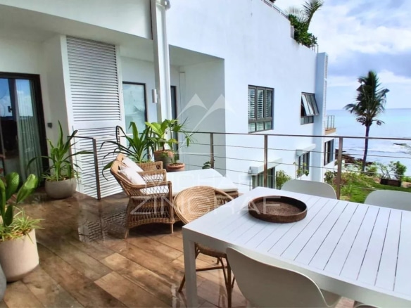 Terrace of an apartment in Pointe aux Canonniers with ocean view and decorative plants.