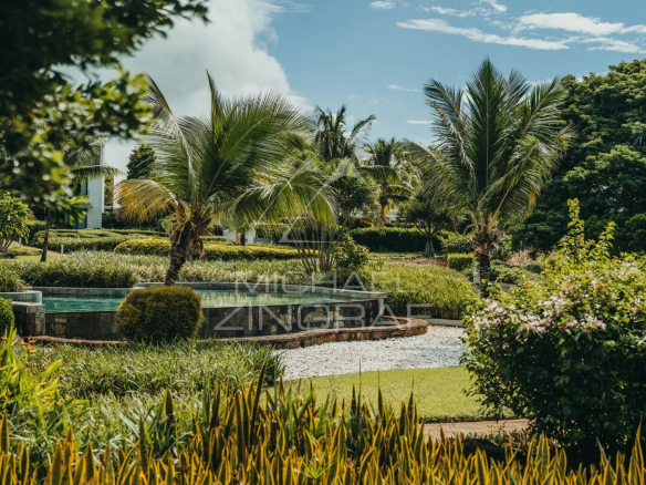 Landscaped garden with palm trees and swimming pool in a residential complex in Haute Rive.